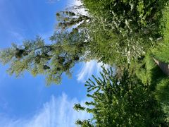 Unterwegs in der Rheinaue Monheim-Baumberg