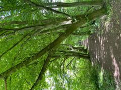 Unterwegs in der Rheinaue Monheim-Baumberg