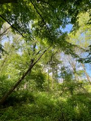 Unterwegs in der Rheinaue Monheim-Baumberg