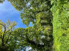 Unterwegs in der Rheinaue Monheim-Baumberg