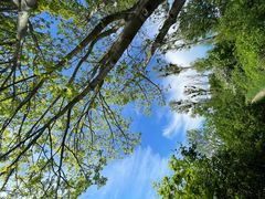 Unterwegs in der Rheinaue Monheim-Baumberg