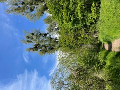 Unterwegs in der Rheinaue Monheim-Baumberg