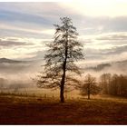 Unterwegs in der Rhön !