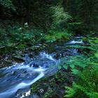 Unterwegs in der Rötenbachschlucht