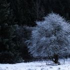 Unterwegs in der Schluft