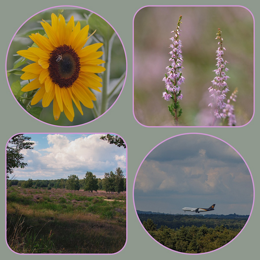 Unterwegs in der Wahner Heide die Einfligschneise Flughafen Köl/ Bonn