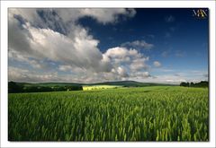 Unterwegs in der Wetterau