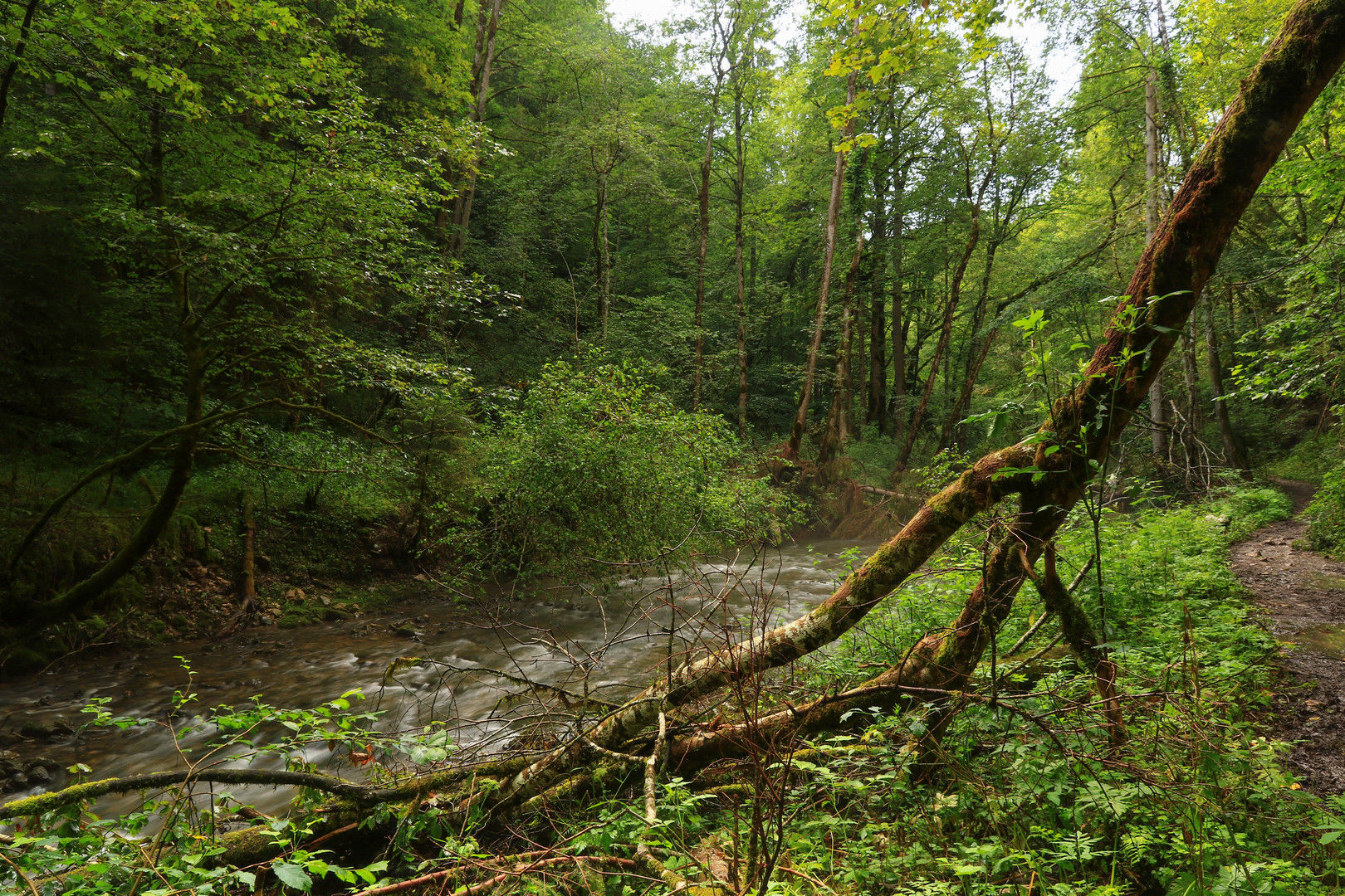 Unterwegs in der wild romantischen Gauchachschlucht