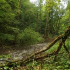 Unterwegs in der wild romantischen Gauchachschlucht