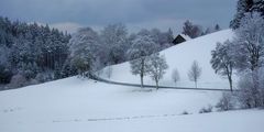 Unterwegs in der Winterlandschaft