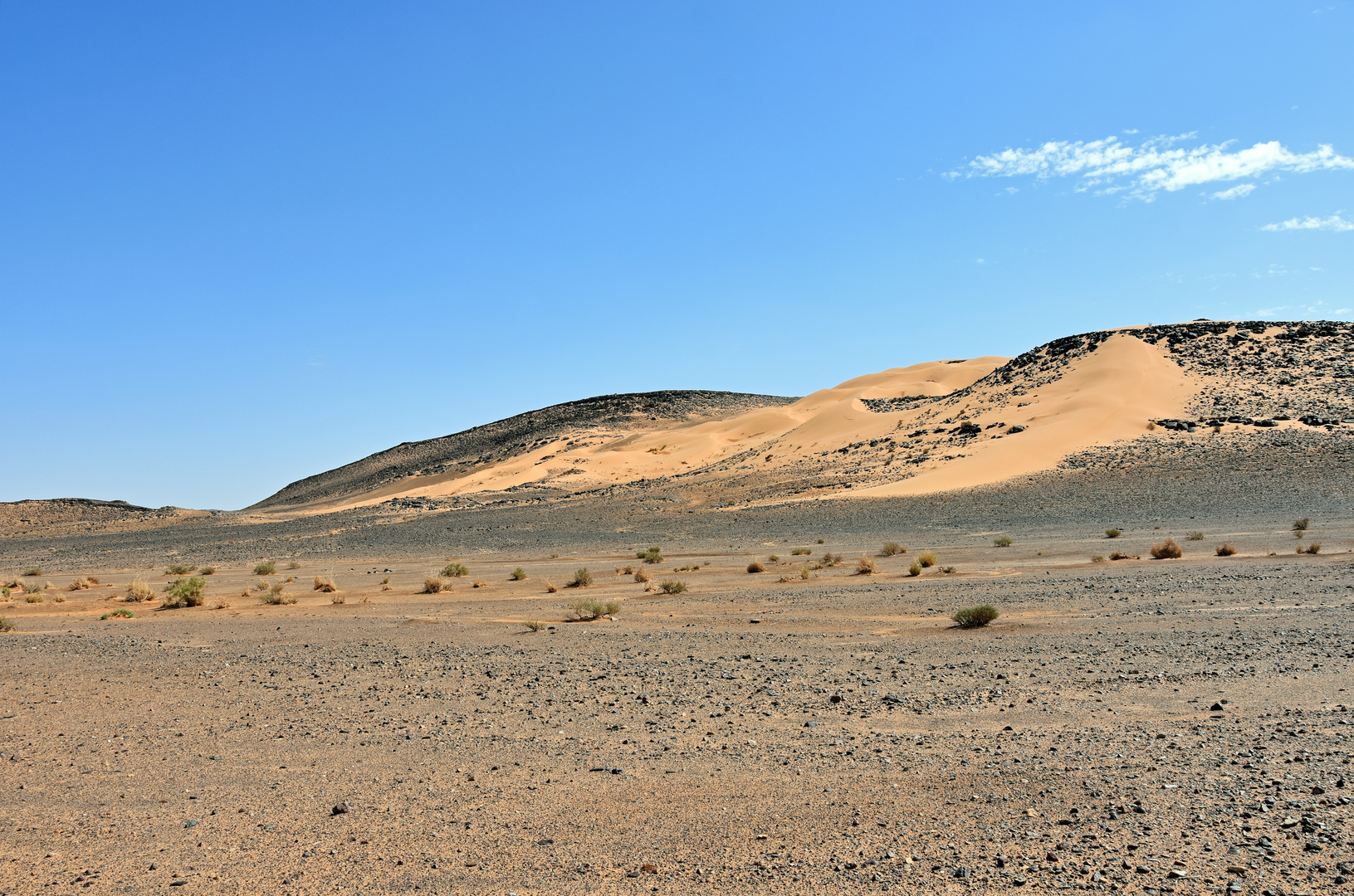 Unterwegs in der Wüstenregion um Tafraout Hassi Fougani