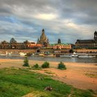 Unterwegs in Dresden