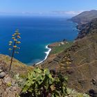 Unterwegs in El Tablado, Nordküste La Palma, August 2014