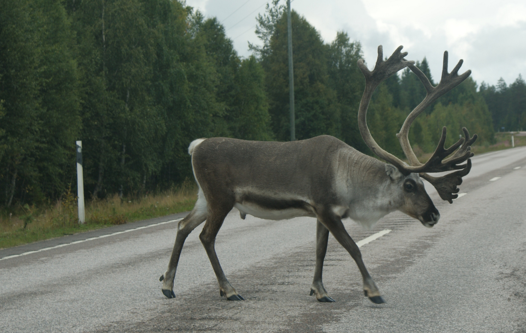 Unterwegs in Finland