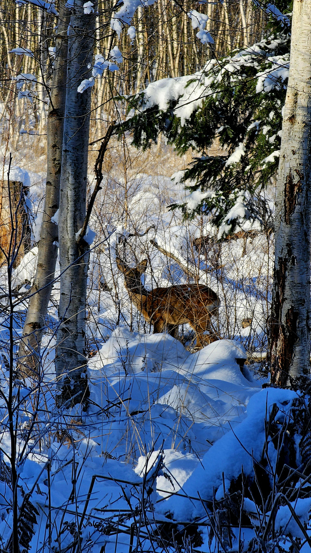 Unterwegs in freier Natur 