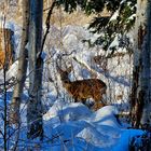 Unterwegs in freier Natur 