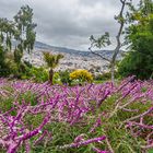 unterwegs in funchal