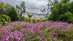 unterwegs in funchal