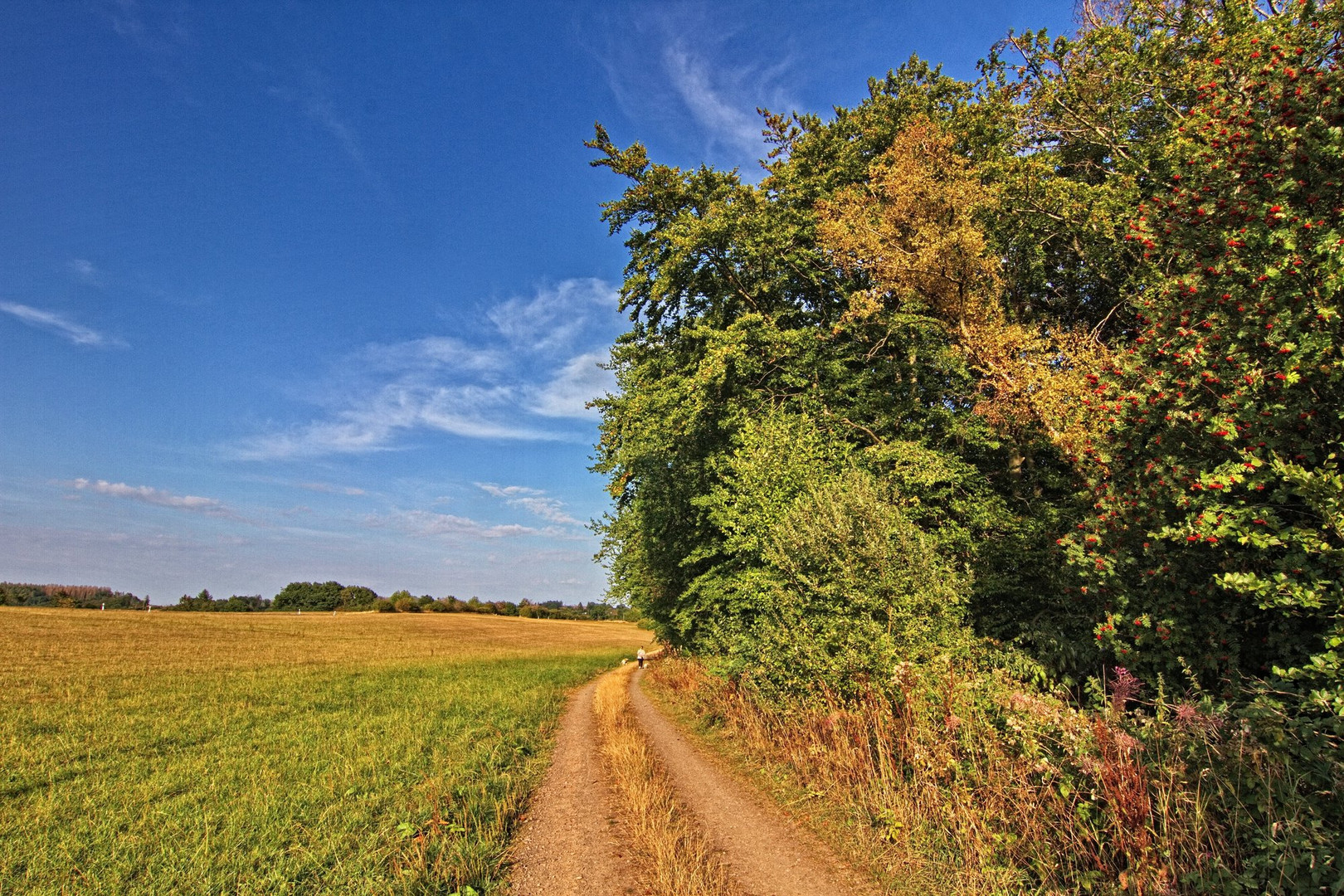 Unterwegs in Griemeringhausen 