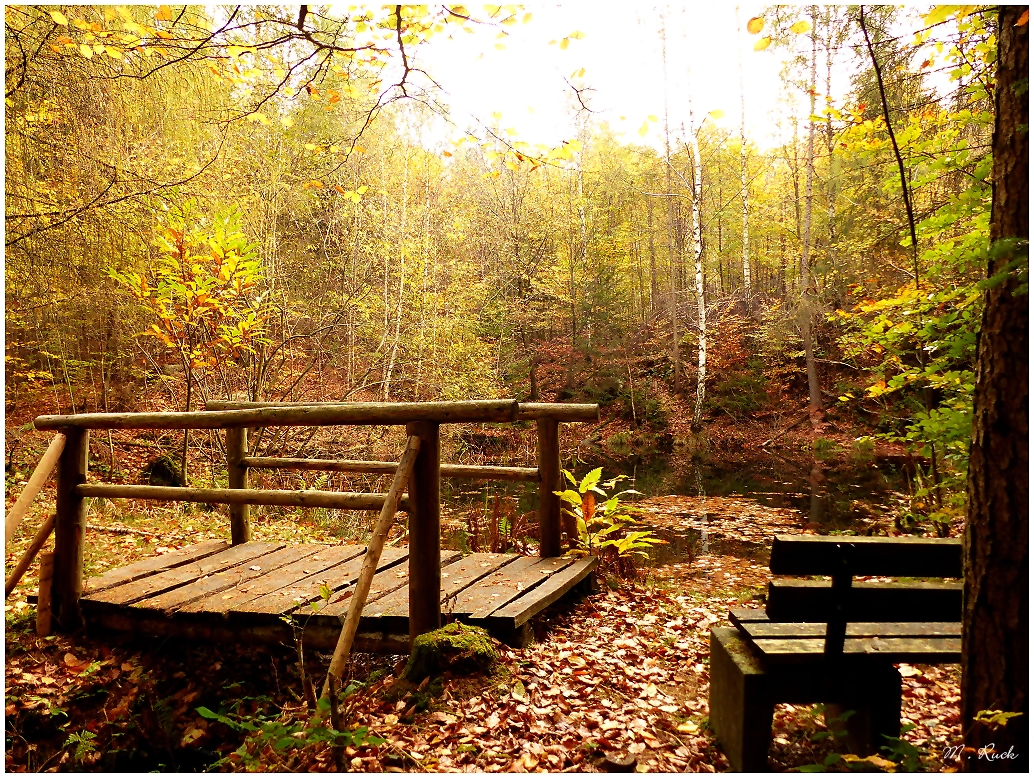 Unterwegs in herbstlicher Umgebung ,