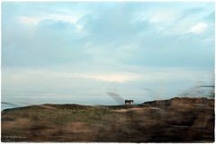[unterwegs in Irland]