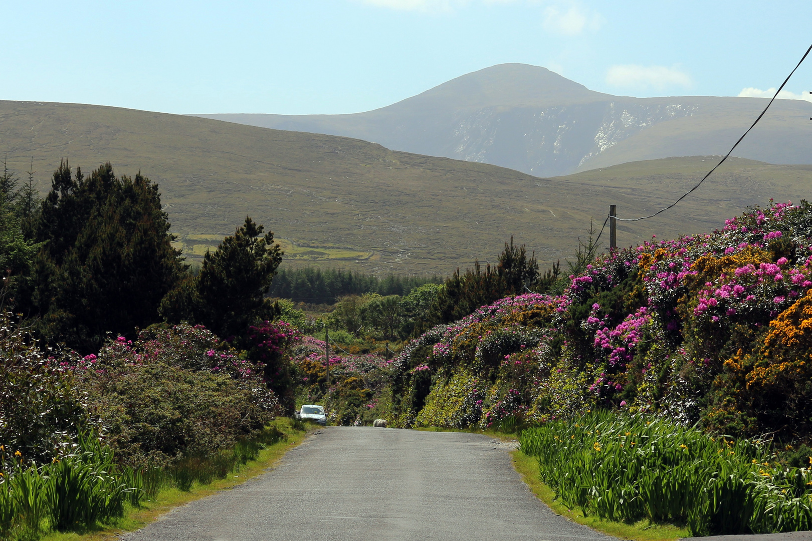 Unterwegs in Irland Kerl