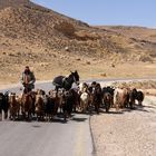 Unterwegs in Jordanien