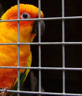 Unterwegs in Luxemburg