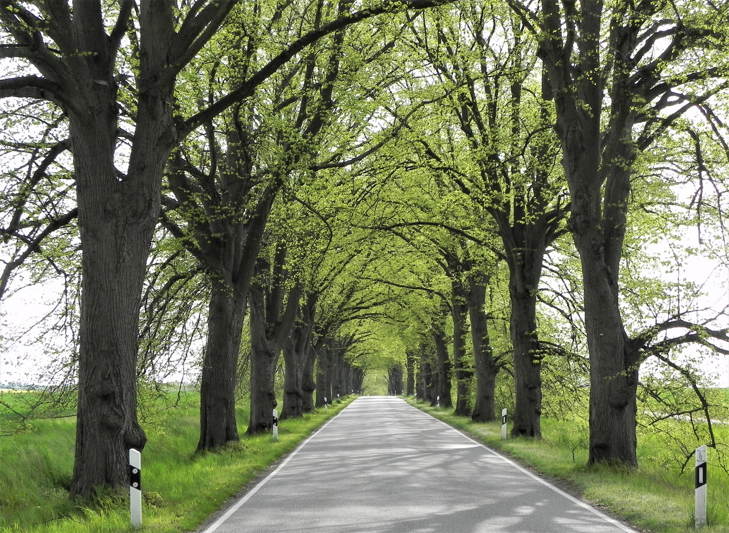 Unterwegs in Mecklenburg-Vorpommern  