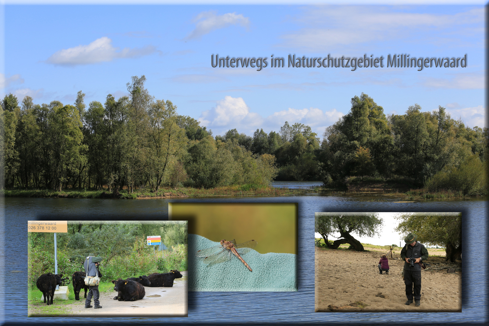 Unterwegs in Millingerwaard ...