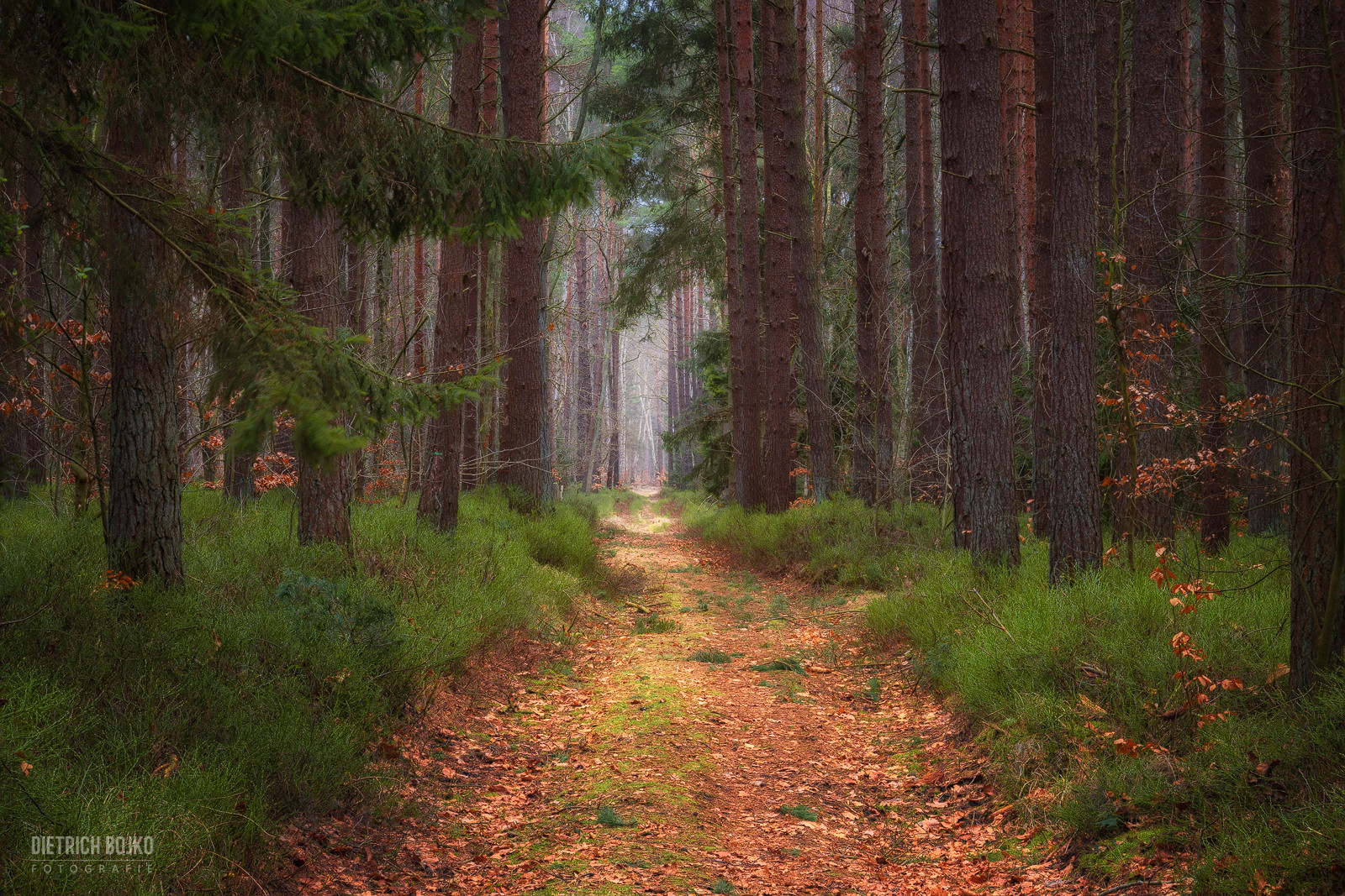 Unterwegs in Mönchgut