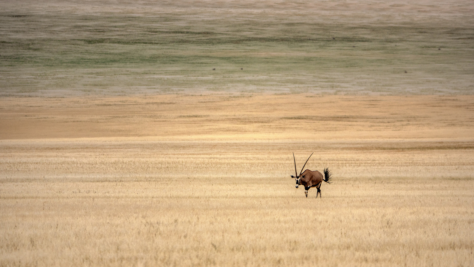 Unterwegs in Namibia (1)