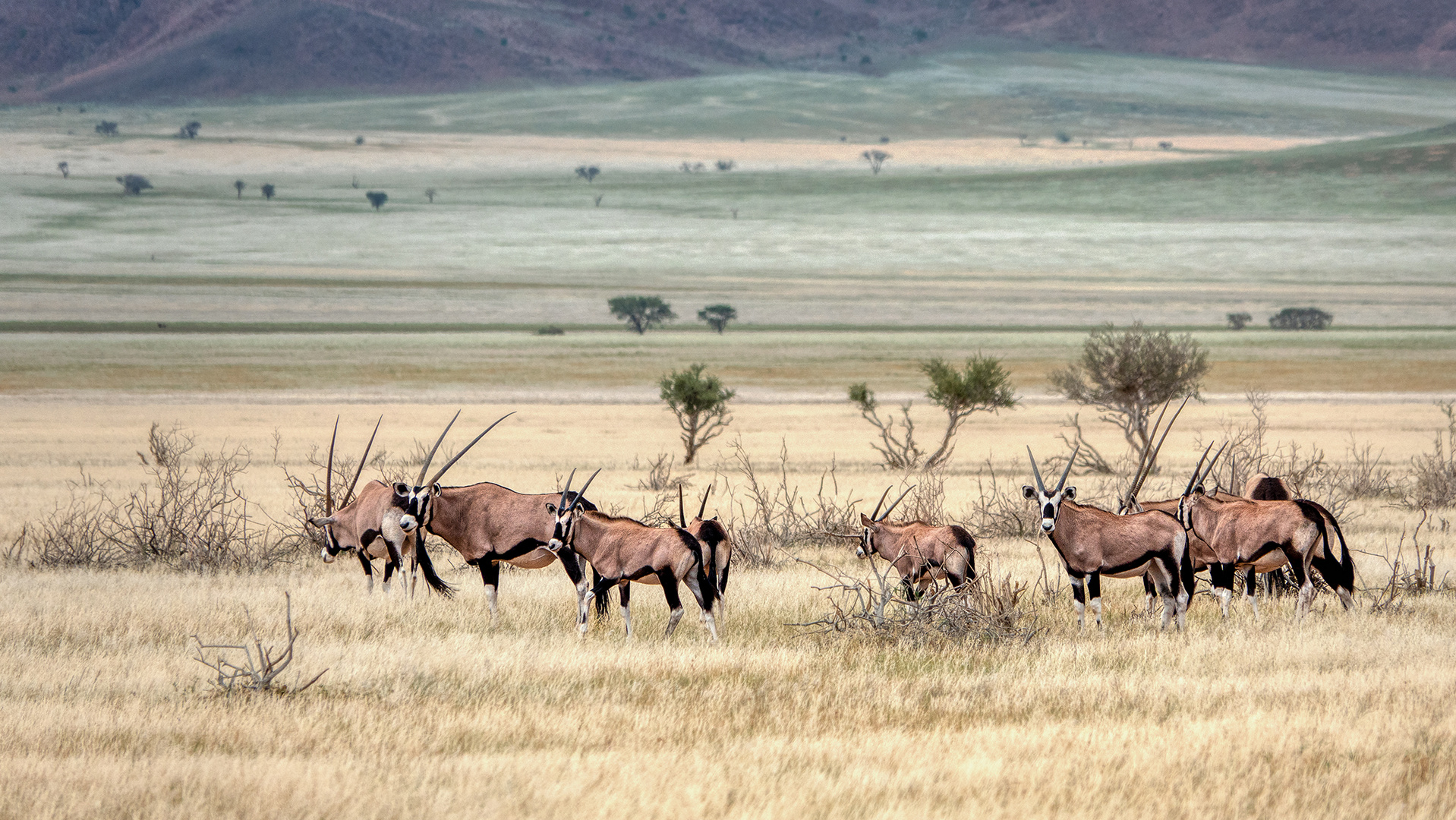 Unterwegs in Namibia (1)