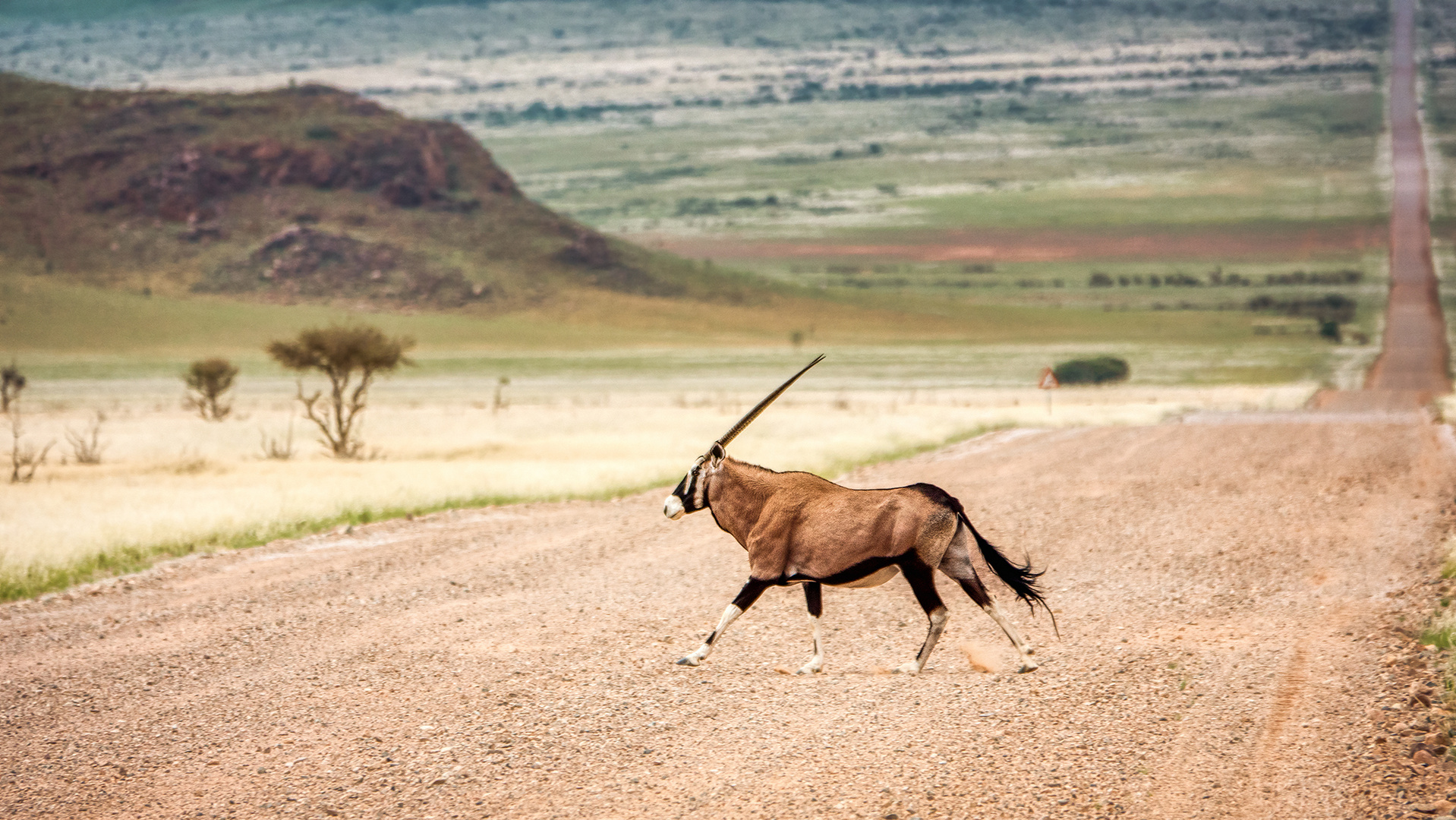 Unterwegs in Namibia (1)