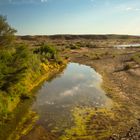 Unterwegs in Namibia