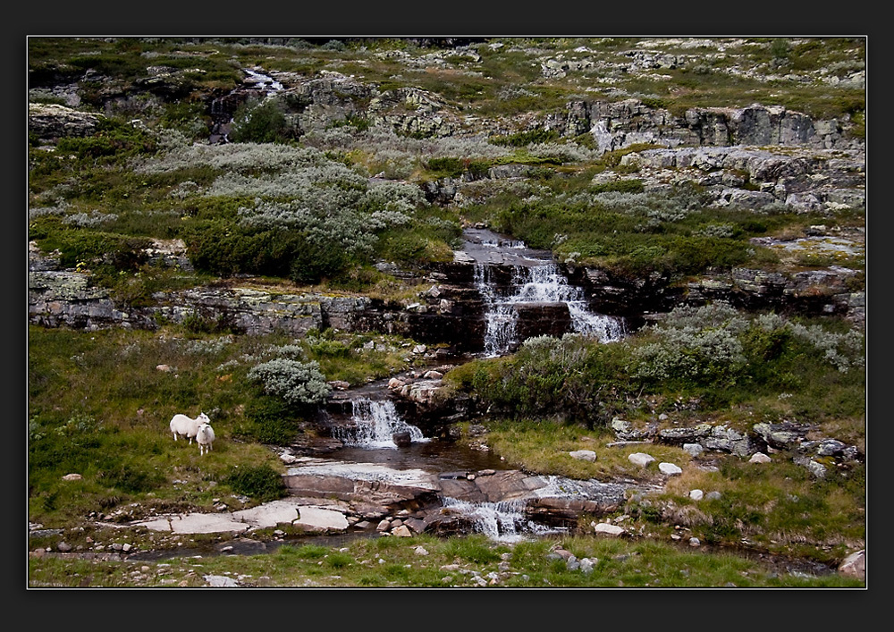 Unterwegs in Norwegen III