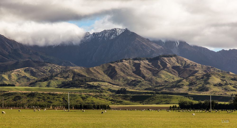 Unterwegs in Otago