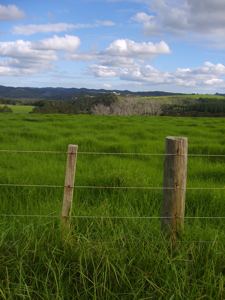 unterwegs in Paihia