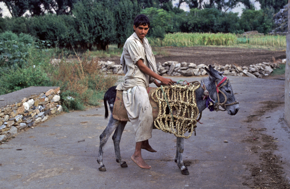 Unterwegs in Pakistan (148)