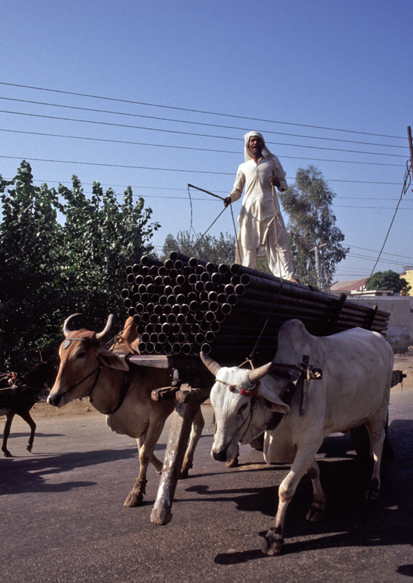 Unterwegs in Pakistan (178)