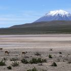 Unterwegs in Peru