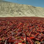 Unterwegs in Peru - Lass uns chillen