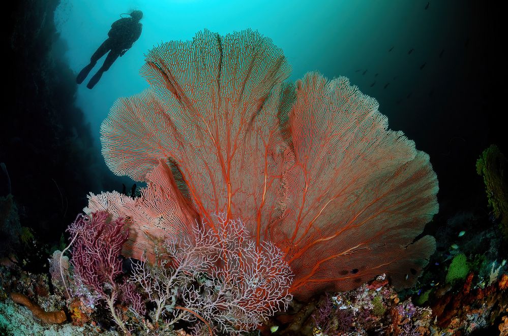 Unterwegs in Raja Ampat