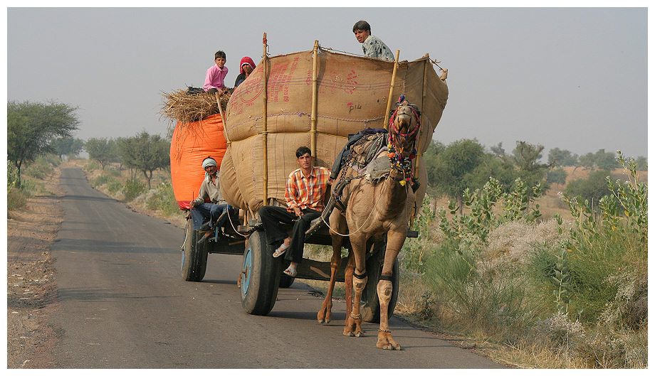 Unterwegs in Rajasthan