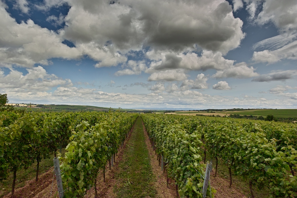 Unterwegs in Rheinhessen_