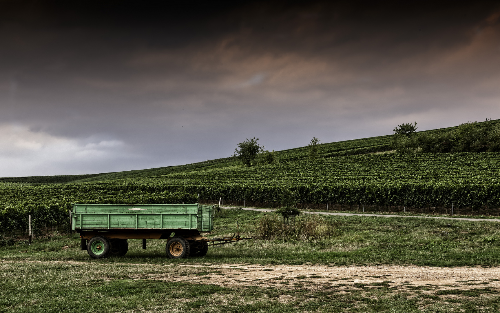 Unterwegs in Rheinhessen 