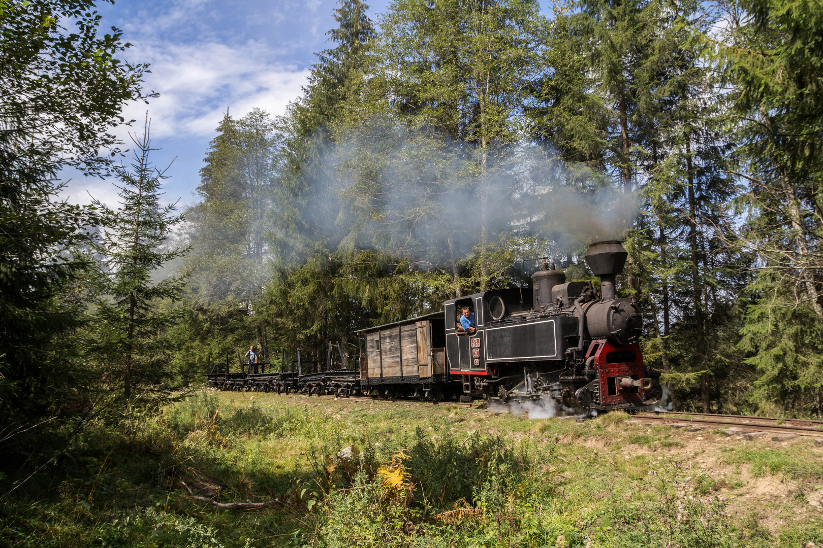 Unterwegs in Rumäniens Wäldern