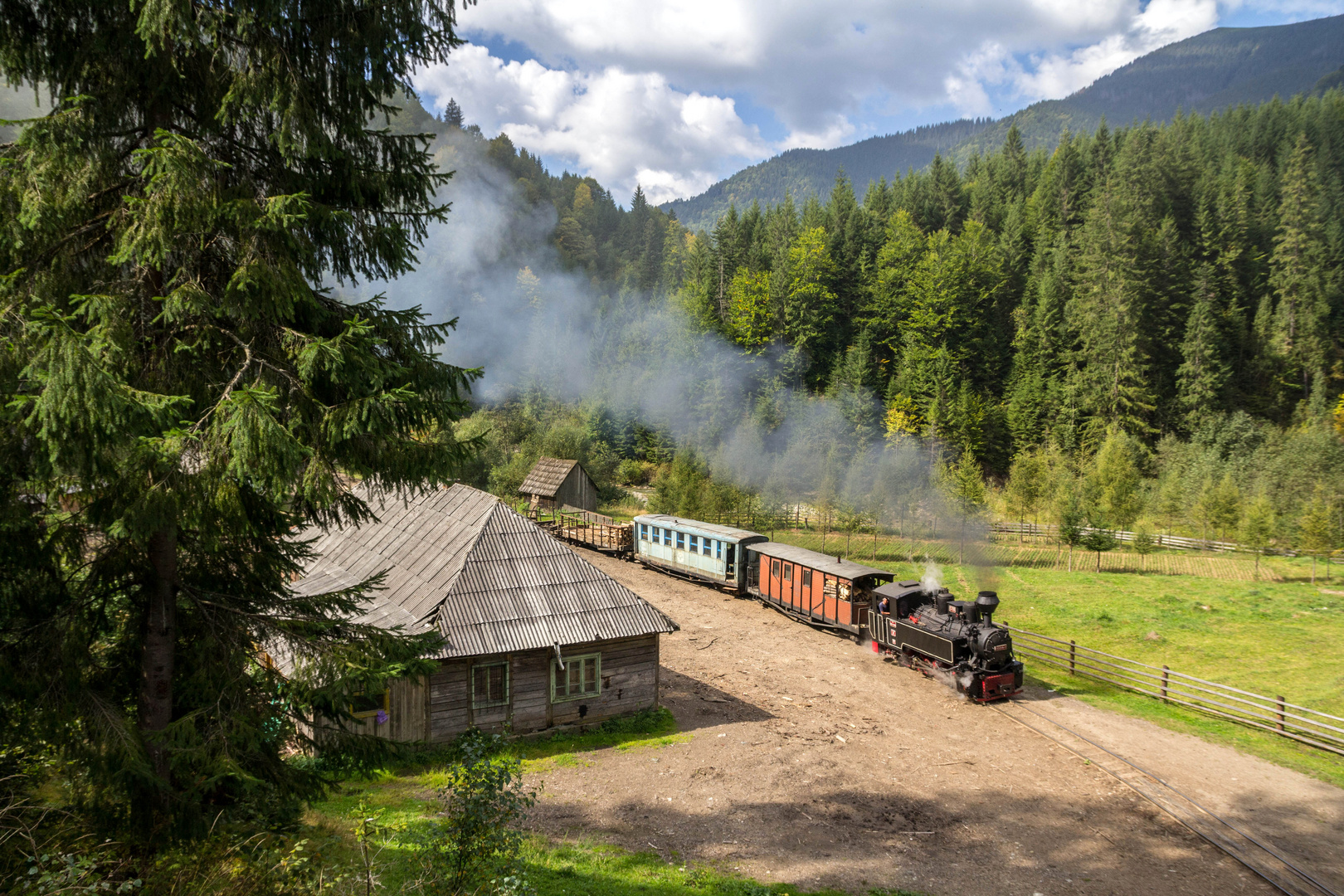 Unterwegs in Rumäniens Wäldern II