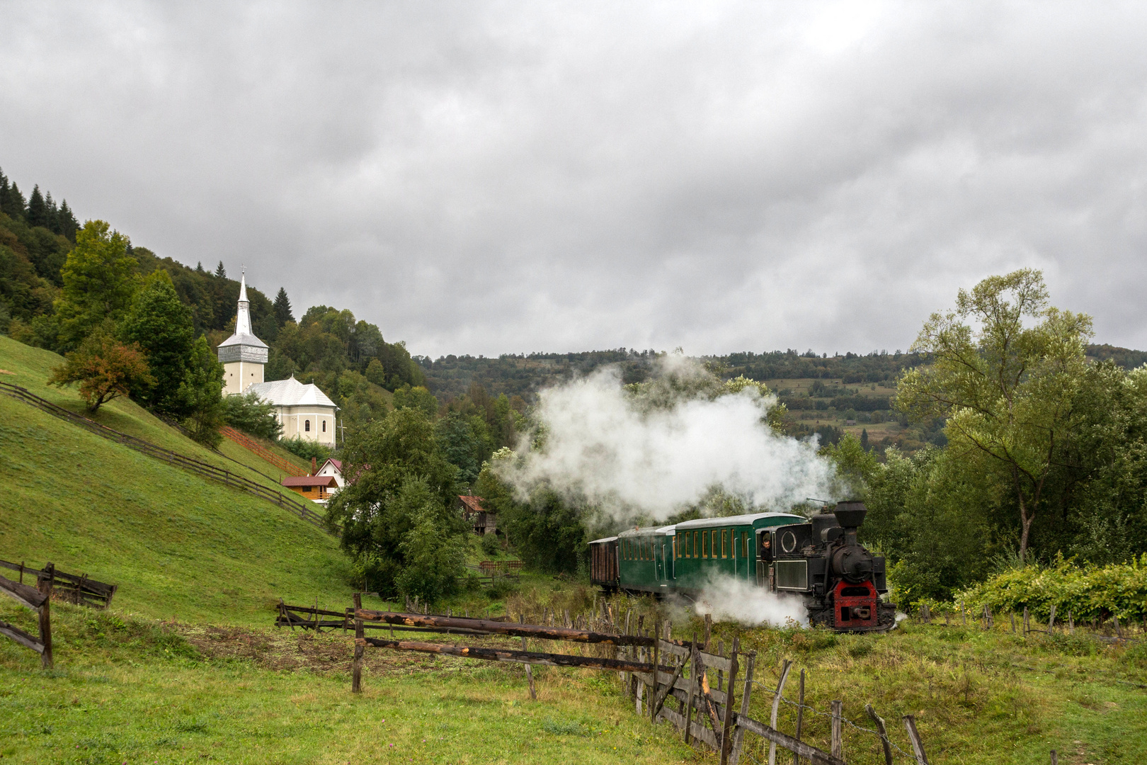 Unterwegs in Rumäniens Wäldern VII