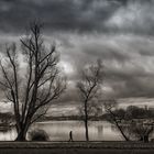 unterwegs in Schiersteiner hafen